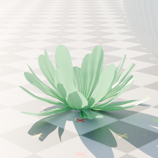 infinigen2.objects.flower.flower_rand seed 5